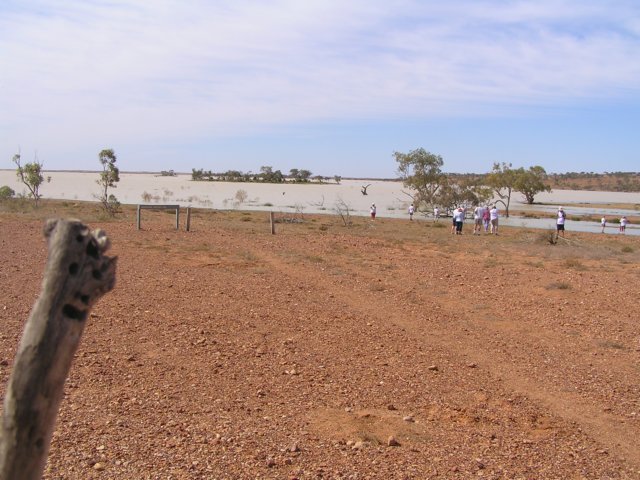 tagalong190.jpg