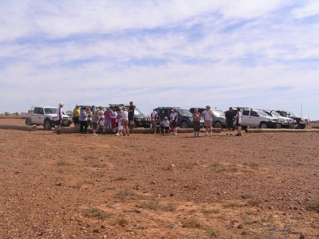 tagalong192.jpg