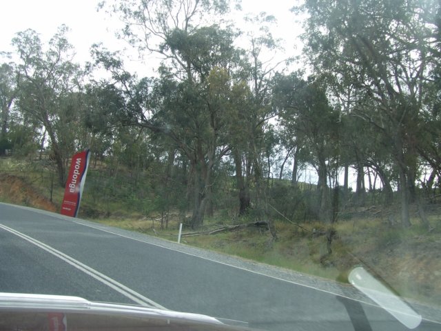 tagalong2008.jpg