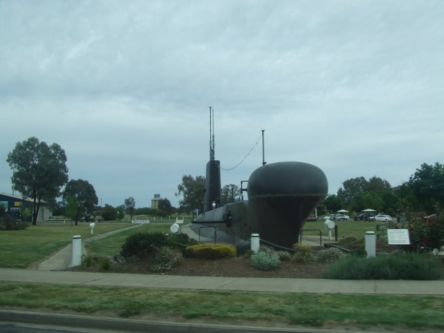 tagalong2009.jpg