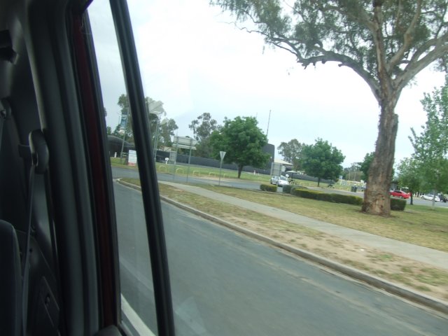 tagalong2010.jpg