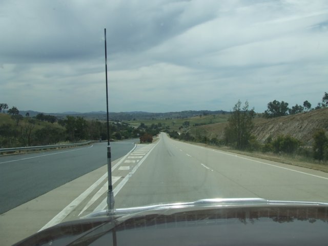 tagalong2011.jpg