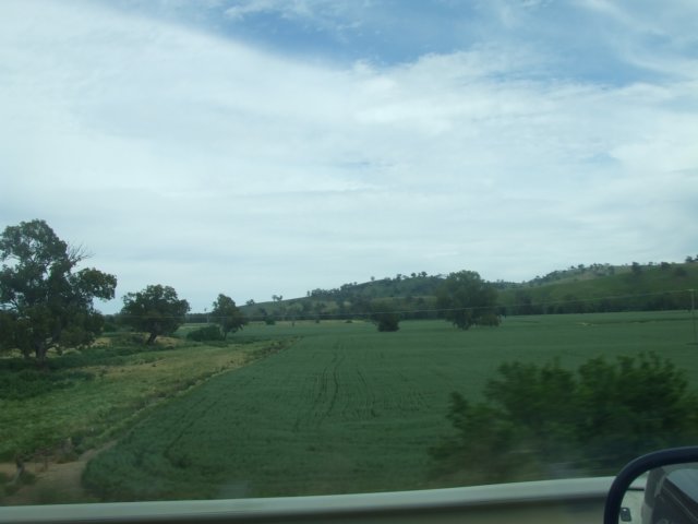 tagalong2014.jpg