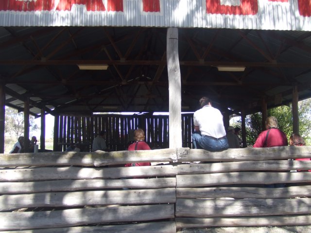 tagalong2016.jpg