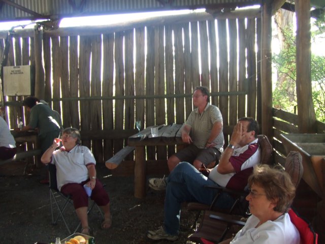 tagalong2028.jpg