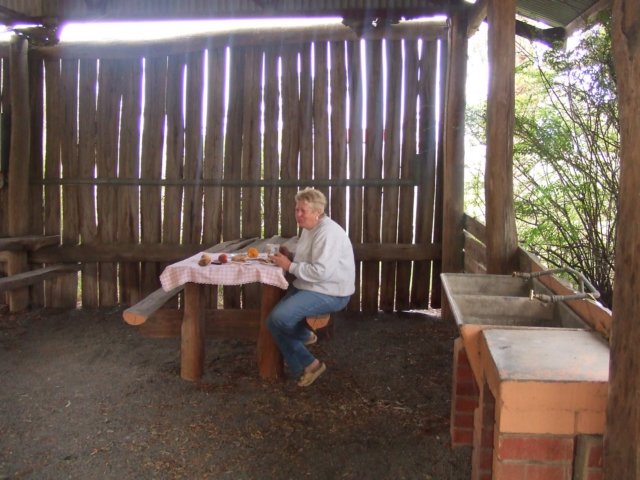 tagalong2044.jpg