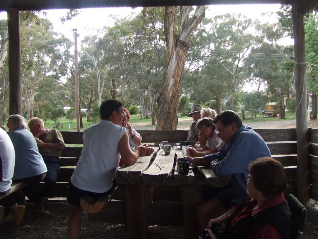 tagalong2051.jpg
