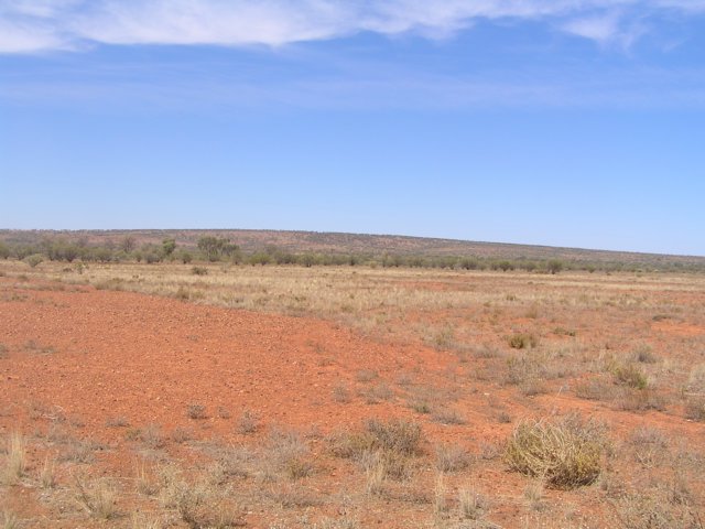 tagalong208.jpg