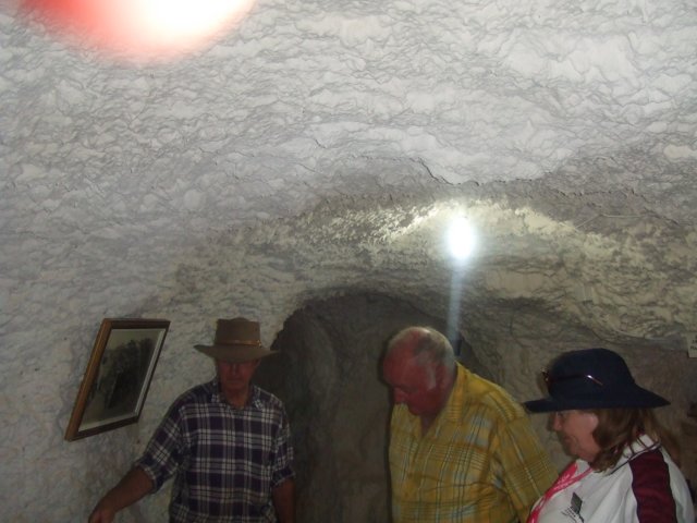 tagalong228.jpg