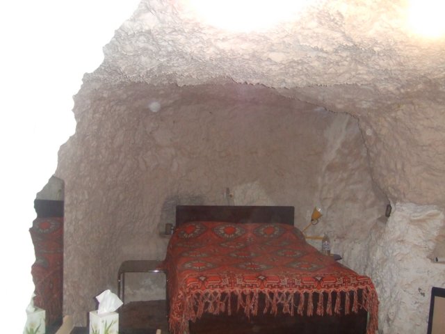 tagalong238.jpg