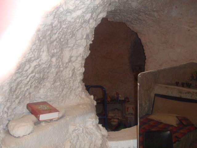 tagalong239.jpg