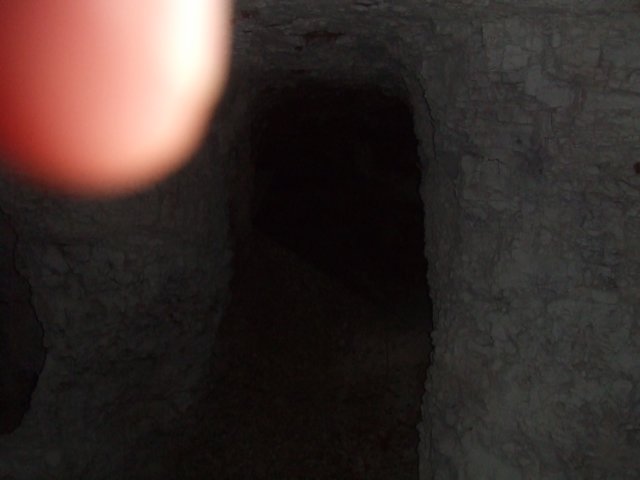 tagalong242.jpg