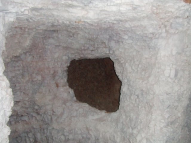 tagalong243.jpg
