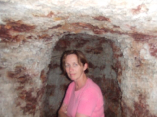 tagalong245.jpg