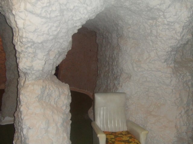 tagalong251.jpg