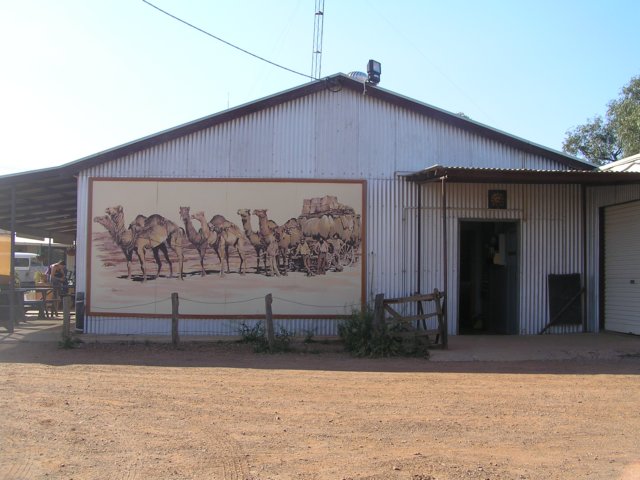 tagalong263.jpg