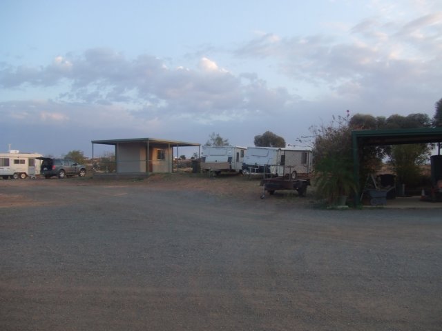 tagalong268.jpg