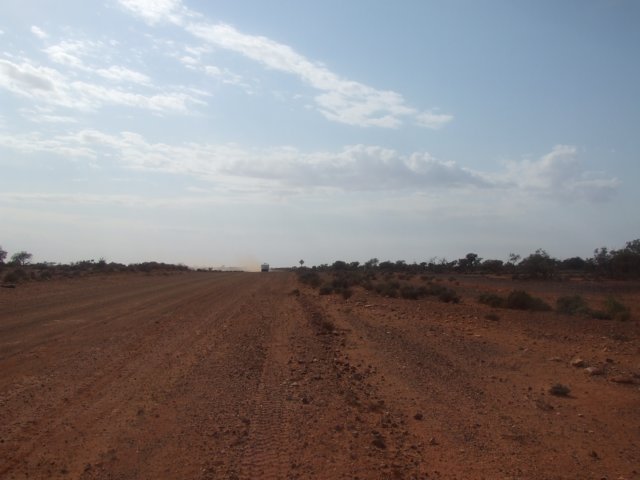 tagalong279.jpg