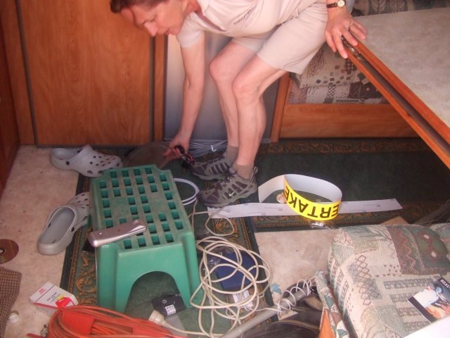 tagalong282.jpg
