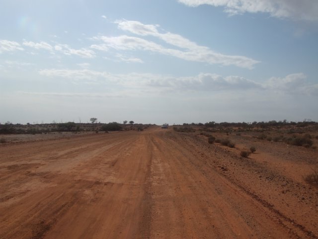 tagalong285.jpg