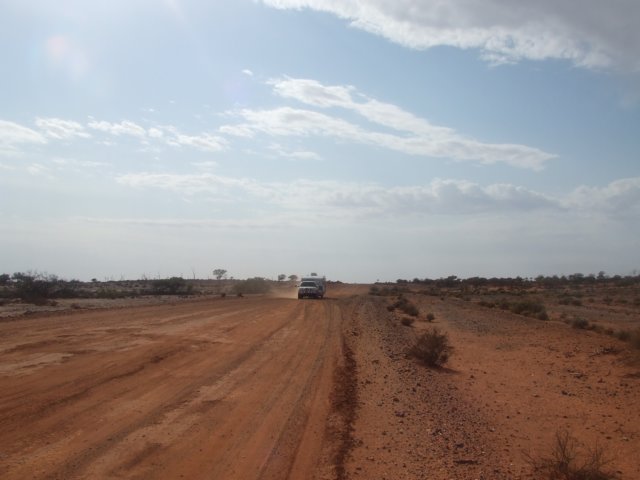 tagalong287.jpg