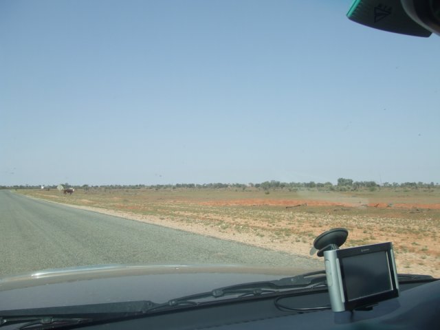 tagalong305.jpg