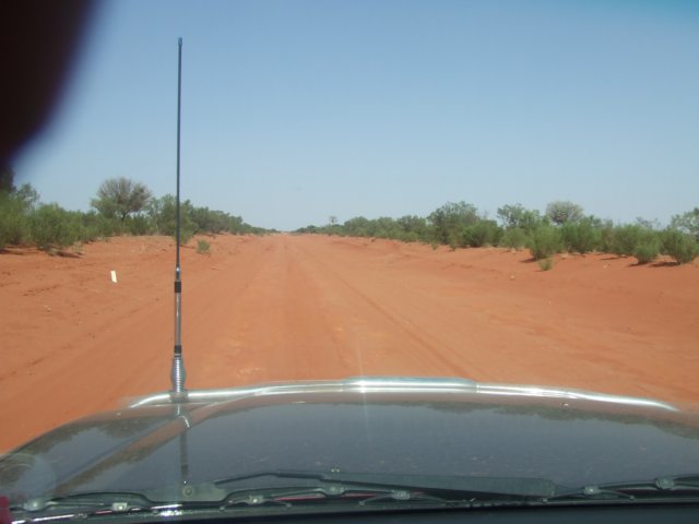 tagalong307.jpg