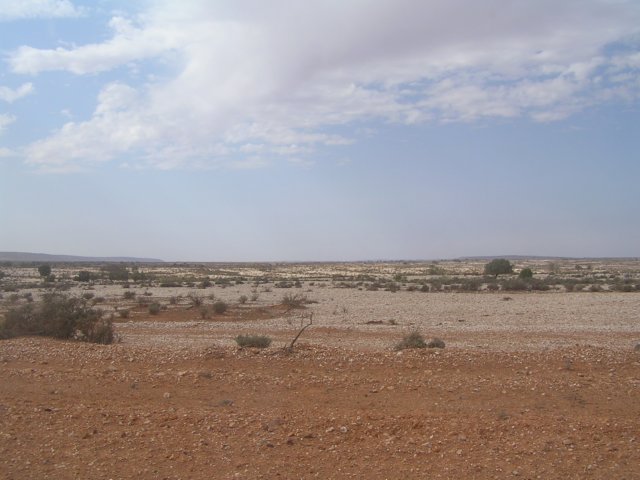 tagalong309.jpg
