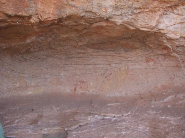 tagalong315.jpg