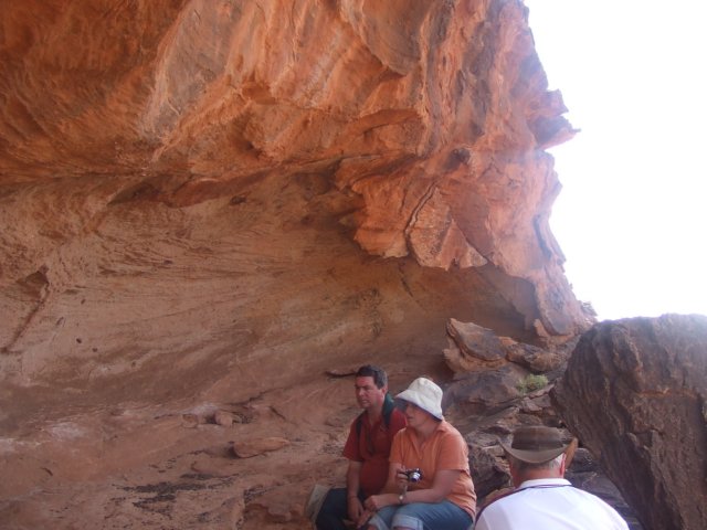 tagalong318.jpg