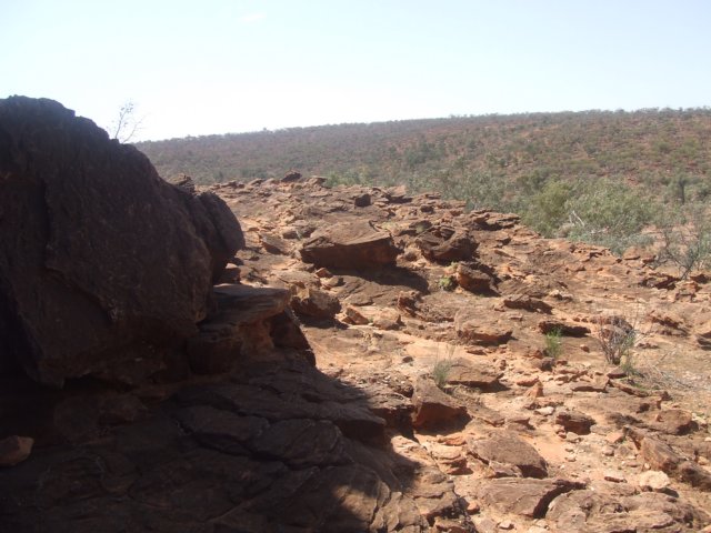 tagalong319.jpg