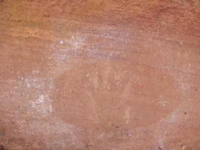 tagalong332.jpg