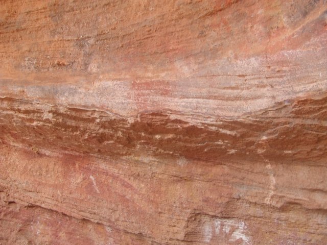 tagalong335.jpg