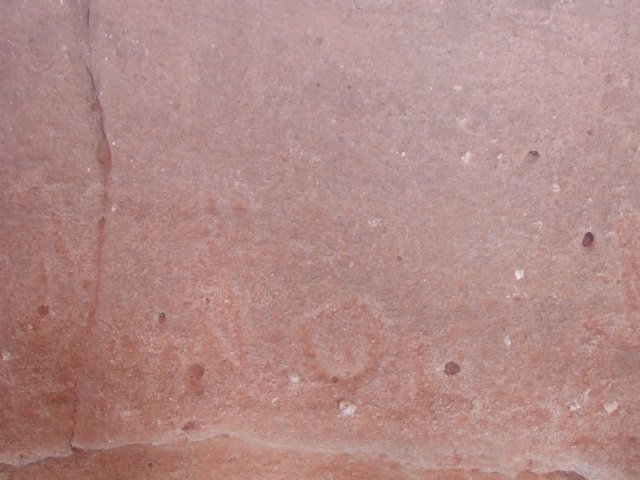 tagalong337.jpg