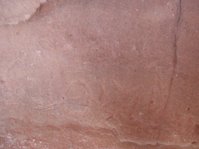 tagalong338.jpg