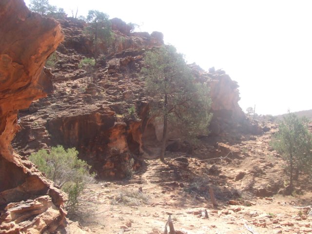 tagalong339.jpg