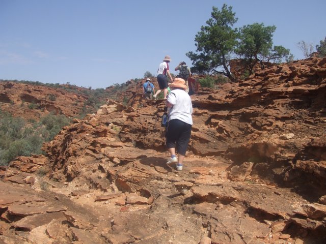 tagalong343.jpg