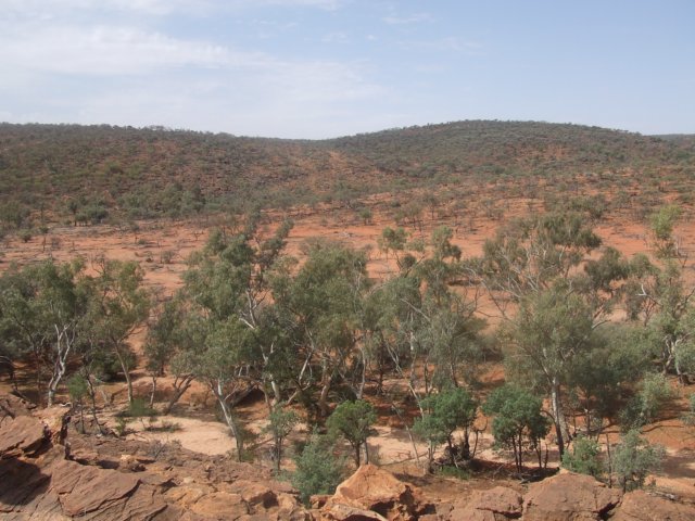 tagalong344.jpg
