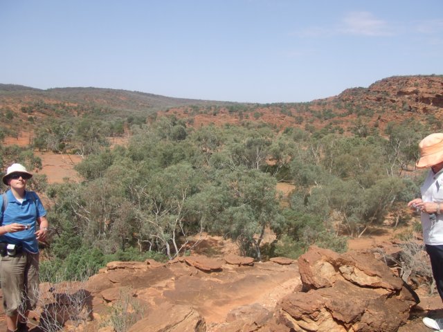 tagalong345.jpg