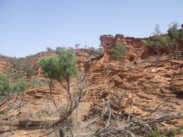 tagalong347.jpg