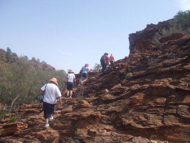 tagalong350.jpg