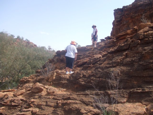 tagalong351.jpg