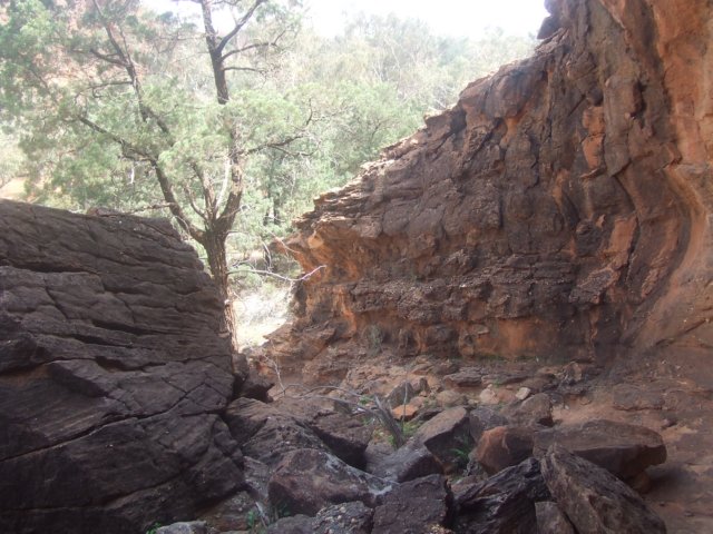 tagalong359.jpg