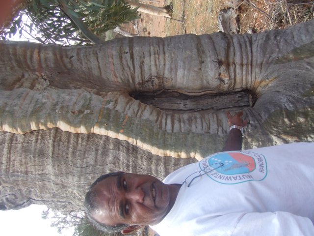 tagalong367.jpg