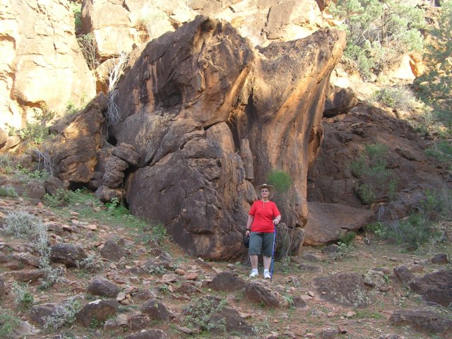 tagalong375.jpg