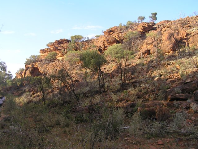 tagalong376.jpg