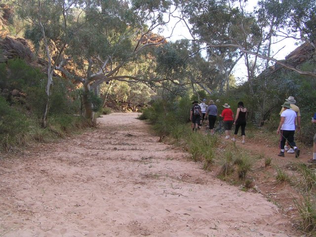 tagalong377.jpg