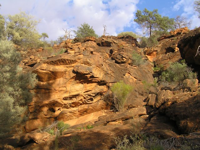 tagalong378.jpg