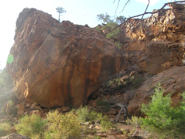 tagalong379.jpg