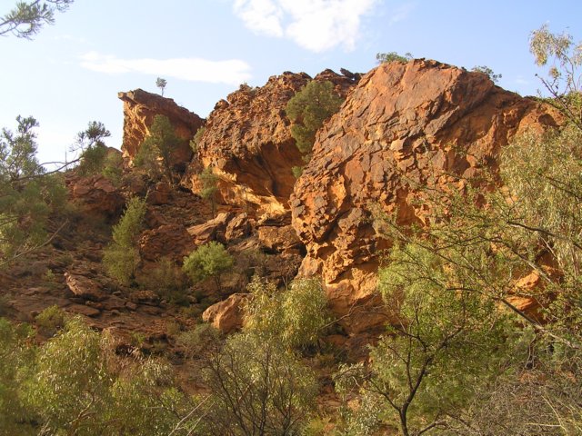 tagalong381.jpg